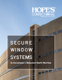 Secure Window Systems