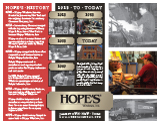 History of Hope's Windows